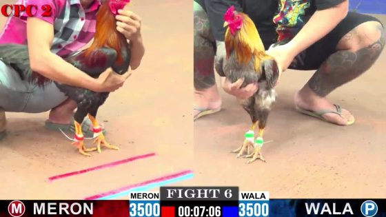 TRẬN 6 CPC2 28/05/2025 : ANH ĐÔ LA vs ANH TÈO ĐEN LÊ (XÁM BẾN THẾ CANH CHẶN ĐIỀU BĂNG BỘT CHÂN )