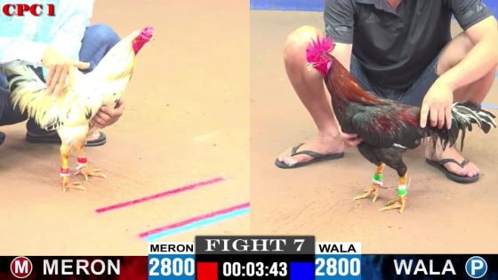 TRẬN 7 CPC1 29/05/2025 : ANH HẢI vs ANH HIẾU (  HAI CON QUÁ HAY THẮNG THUA NHỜ CHÂN QUYẾT ĐỊNH