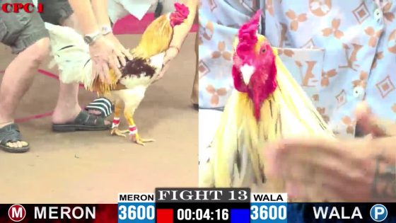 TRẬN 13 CPC1 29/05/2025 : ANH MINH LONG AN vs ANH LUÂN SÀI GÒN (  CAMELO KHÔN KHÉO CANH CHẶN HẠ XANH 1 TAY NƯỚC LA MIỆNG