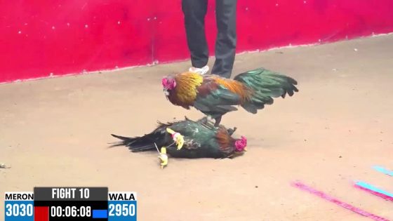 TRẬN 10 CPC3 3/5/2025 : ANH SỸ BÌNH DƯƠNG vs ANH MINH BẾN TRE ( XỔ : ĐỎ ĂN 9 XỔ 30 TRIỆU