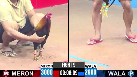 TRẬN 9 CPC3 30/05/2025 : ANH ĐẬU B vs ANH VŨ BẾN TRE (  ĐIỀU SIÊU MỸ QUÁ ĐÂM HẠ ĐIỀU CỌP VŨNG TÀU ĐỨNG KHÔNG NỔI