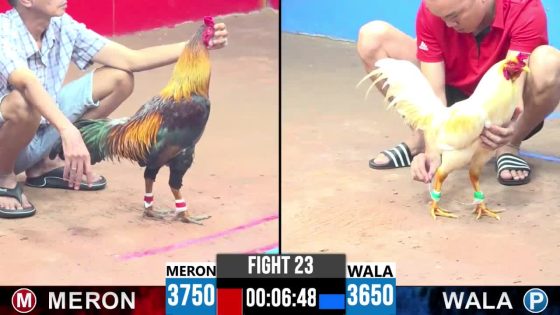 TRẬN 23 CPC3 30/5/2025 : ANH DŨNG SÀI GÒN vs ANH TÂM BẾN TRE ( CÙ LŨ NÚP LÙM TÁI XUẤT ĐÂM ÚA GỤC TẠI CHỖ