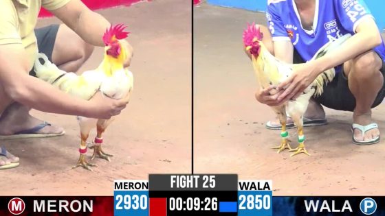 TRẬN 25 CPC3 30/5/2025 : ANH QUANG VŨNG TÀU vs ANH TÝ VŨNG TÀU (  BƯỚM TRẢ CHÂN TIÊN PHẢN ĂN 1 BIỆN KÊU MIỆNG