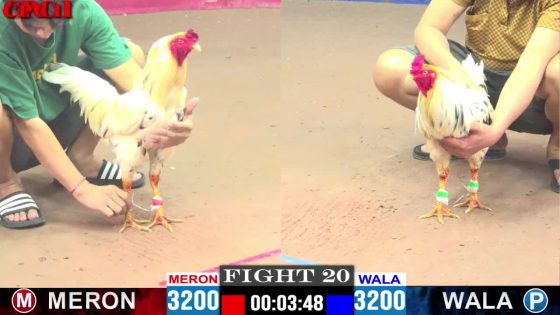TRẬN 20 CPC1 3/5/2025 : ANH DỰ VŨNG TÀU vs ANH TRỌNG ( XỔ : ĐỒNG XỔ 30 TRIỆU