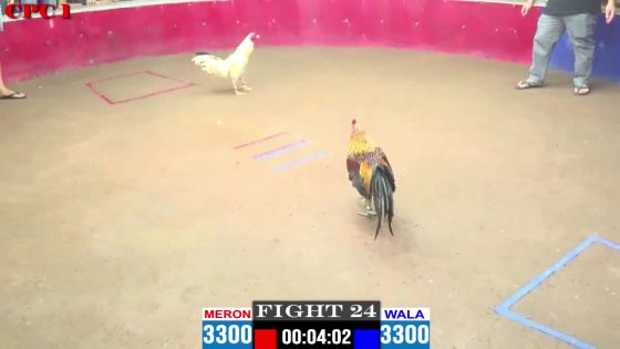 TRẬN 24 CPC1 3/5/2025 : ANH ĐEN vs ANH BÉ ( XỔ : ĐỒNG XỔ 30 TRIỆU