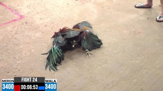 TRẬN 24 CPC3 3/5/2025 : ANH HƯỞNG DI LINH vs ANH TUẤN HEO  ( XỔ : ĐỒNG XỔ 30 TRIỆU