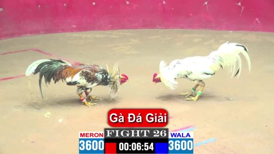thumbnail 91