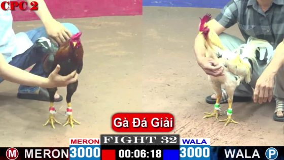 TRẬN 32 CPC2 4/5/2025 : ANH LÀNH VŨNG TÀU vs ANH KHOA BẾN LỨC (SIÊU MỸ CANH CHẶN KẾT THÚC ĐỐI THỦ NHANH LẸ )