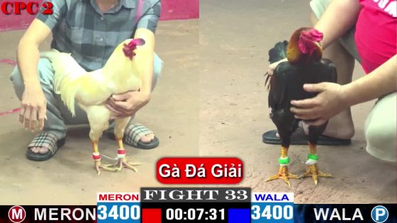 TRẬN 33 CPC2 4/5/2025 : ANH KHOA BẾN LỨC vs ANH PHƯƠNG BẾN TRE (CANH CHẶN RA ĐÒN 1 CHÂN LẤY TIỀN )