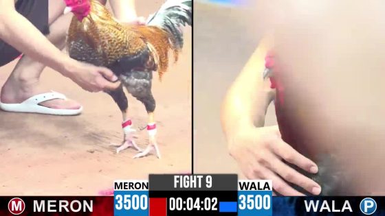 TRẬN 9 CPC3 8/6/2025 : ANH MINH vs ANH GIANG (  ĐỨC HÒA CÚ BẮT BƯỚM BẮT QUẠ HẠ XANH CHẠY ÓT ÓT