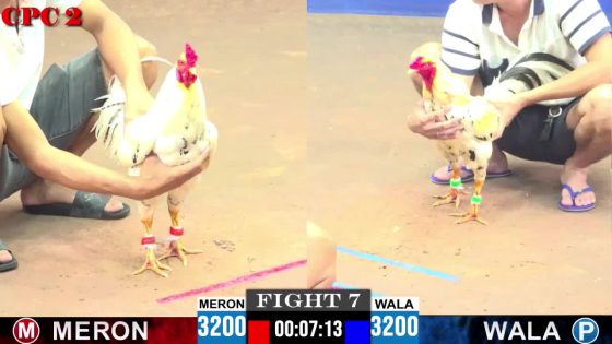 TRẬN 7 CPC2 8/6/2025 : ANH HÙNG vs ANH DỰ (  ĐỎ CÚP CẦU DAO 1 CHÂN 1 XANH NẰM TẠI CHỖ