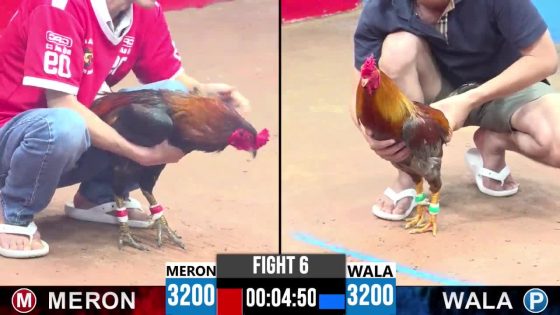 TRẬN 6 CPC3 10/6/2025 : ANH CÒ TÂY NINH vs ANH KHƯƠNG (  ĐIỀU ĐÁ QUÁ ĐÂM, XÁM LỌT CÂY BỎ CHẠY