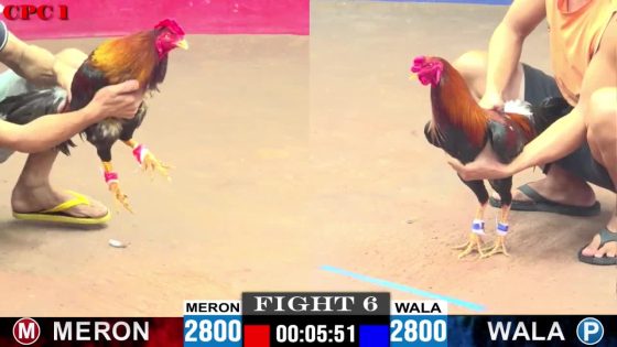 TRẬN 6 CPC1 10/6/2025 : ANH NHÂN HẬU GIANG vs ANH CƯỜNG  ( 2 ĐIỀU ĐÁ NHAU, ĐIỀU XANH ĐÁ CÂY LỌT ĐIỀU ĐỎ GÃY CHÂN