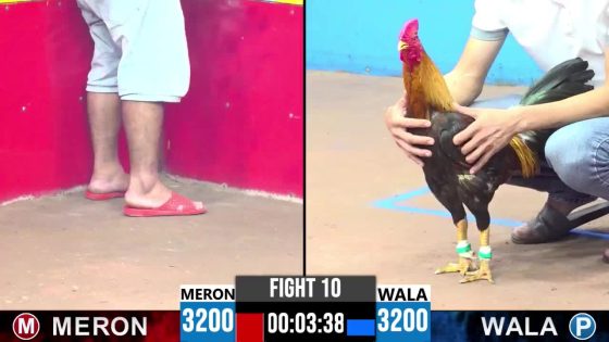 TRẬN 10 CPC3 10/6/2025 : ANH NHÂN SÓC TRĂNG vs ANH GIANG ĐỨC HÒA  ( ĐIỀU XANH ĐÁ 3 CHÂN HẠ KHÉT TUYỆT ĐỐI