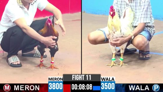 TRẬN 11 CPC3 10/6/2025 : ANH ÚT BẾN TRE vs ANH PHÁT (  ĐỨC HÒA 2 CON ĐÁ NHAU MUỐN HƯ, PHÚT 90 BƯỚM PHẢN ĂN 1 THÀNH CÔNG
