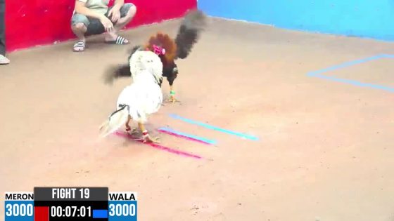 TRẬN 19 CPC3 10/6/2025 : ANH GIANG ĐỨC HÒA vs ANH KHANG (  ĐIỀU ĐÁ QUÁ ĐÂM, ĐÁ BƯỚM GÃY CHÂN HẾT CỨU