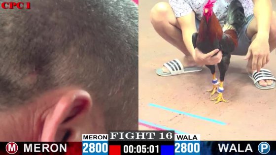 TRẬN 16 CPC1 10/6/2025 : ANH THẠCH BẾN TRE vs ANH CHÂU HẬU GIANG (  ĐỎ ĐÁ MẤY CÂY XANH HO RA STING NGÃ TẠI SÂN