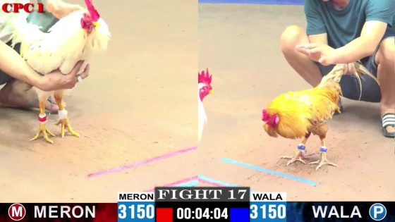 TRẬN 17 CPC1 10/6/2025 : ANH DUY vs ANH DỰ VŨNG TÀU  ( KHÉT ĐÁ MẤY CHÂN BƯỚM GÃY GIÒ CHỊU CHẾT