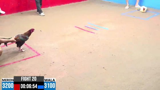 TRẬN 20 CPC3 10/6/2025 : ANH NHỰT ĐỨC HÒA vs ANH HAI THÀNH PHỐ (  BƯỚM ĐÁ TOÀN CHÂN HIỂM ĐÂM ĐỎ MÙ 2 MẮT BỎ CHẠY