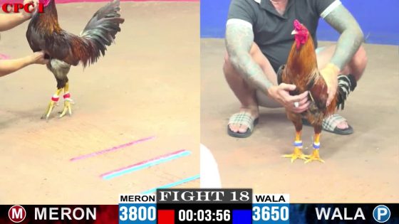 TRẬN 18 CPC1 10/6/2025 : ANH HÙNG LONG AN vs ANH BÉ CƯỜNG  ( KHÉT ĐÁ ĐÚNG 3 CHÂN XANH GỤC TẠI SÂN
