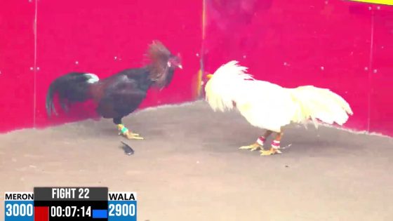 TRẬN 22 CPC3 10/6/2025 : ANH PHỤNG VŨNG TÀU vs ANH TUẤN  (  ÚA GỒNG GÁNH TẢI CỰA QUÁ TỐT, ĐIỀU QUAY XE PHÚT 90