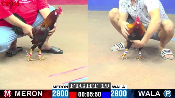 TRẬN 19 CPC1 10/6/2025 : ANH NGUYÊN BẾN TRE vs ANH TUẤN KIỆT (  ĐIỀU ĐỎ ĐÁ MẤY CHÂN ĐIỀU VÀNG LẬT NGANG HẾT SỬA