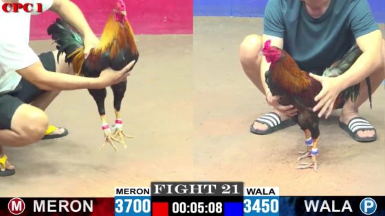 TRẬN 21 CPC1 10/6/2025 : ANH MỤI vs ANH DỰ VŨNG TÀU ( ĐIỀU ASIL MỸ ĐÁ QUE NGHỆ 1 TAY NƯỚC CỨNG MÌNH BỎ CHẠY