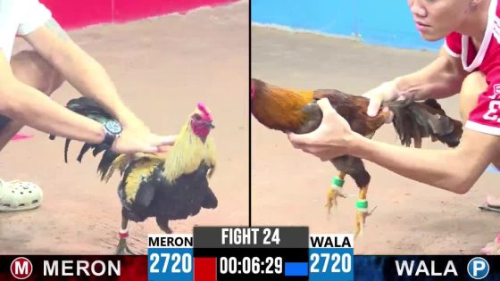 TRẬN 24 CPC3 10/6/2025 : ANH PHỤNG USA vs ANH LÂM TÂY NINH (  TRĂM ĐÁ KHÔNG BẰNG 1 ĐÁ NGAY NGỰC