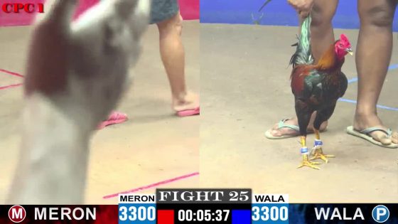 TRẬN 25 CPC1 10/6/2025 : ANH TÂM vs ANH BÉ CƯỜNG  (   ĐIỀU XANH ĐÁ BƯỚM CAMELO CÀ NHẮC, BƯỚM ĐÁ LẠI ĐIỀU LẬT NGANG