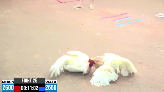 TRẬN 25 CPC3 10/6/2025 : ANH THẮNG BẾN TRE vs ANH SỸ BÌNH DƯƠNG (  2 GÀ ĐÁ NHAU CON NÀO CỦNG ĐÂM, ĂN NHỜ MAI ĐỘ