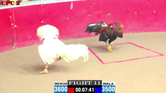 TRẬN 11 CPC2 11/6/2025 : ANH HIỀN vs ANH TUẤN TẦM VU( ĐIỀU LỐI ĐÁ KHÔN KHÉO, ÚA QUAY XE PHÚT 90