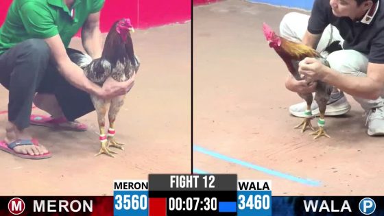 TRẬN 12 CPC3 11/6/2025 : ANH SANG CPC vs ANH PHONG BÁNH MÌ (XANH TRÁNH NÉ KHÔN KHÉO ĐƯA CHÂN ĐỎ GÃY GIÒ HẾT PHẢN