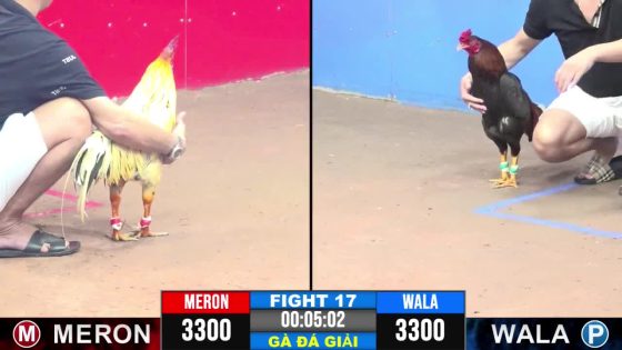 TRẬN 17 CPC3 11/6/2025 : ANH QUANG VŨNG TÀU vs ANH QUÂN LONG AN( ĐIỀU QUÁ HUNG HÃN ÉP BƯỚM DÍNH TƯỜNG