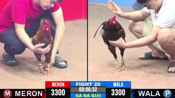 TRẬN 20 CPC3 11/6/2025 : ANH GIANG ĐỨC HÒA vs ANH PHÁT ĐỨC HÒA (KHÉT RA CHÂN QUÁ HIỂM, ĐIỀU CỨNG MÌNH NẰM TẠI CHỖ