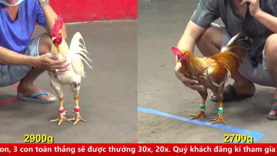 thumbnail 249