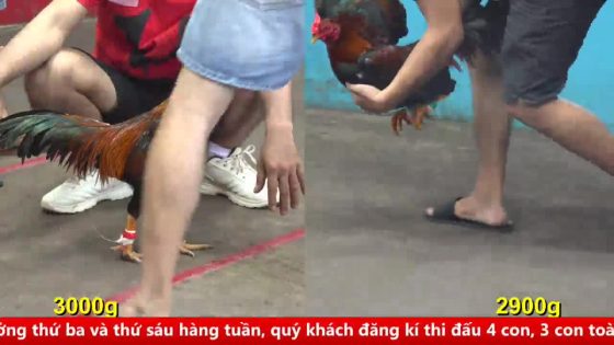 thumbnail 263