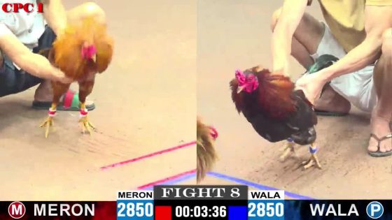 TRẬN 8 CPC1 3/6/2025 : ANH BỜM vs ANH TON (  MẼ HIỆU ĐIỀU XANH BỊ KHÉT VIỆT LAI ĐÁ 1 CHÂN NẰM BẤT TỈNH