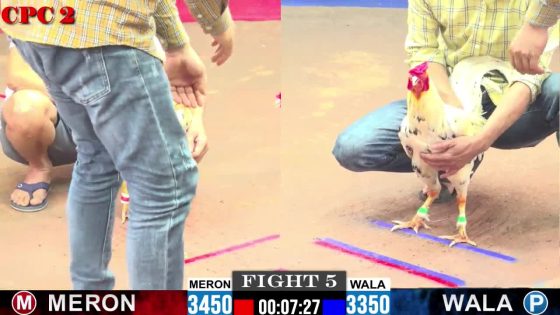 TRẬN 5 CPC2 4/6/2025 : ANH QUỐC vs ANH LÀNH(CANH CHẶN 3 ĐÁ GÃY GIÒ LỤM LÚA QUÁ ĐƠN GIẢN )