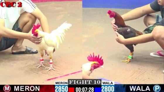 TRẬN 10 CPC2 3/6/2025 : ANH TÈO vs ANH CHINH (ÚA ĐÁ NHƯ CÁI MÁY ĐIỀU GÃY TAY HƯ HÌNH 1 LỚP )