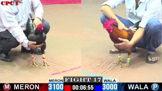 TRẬN 17 CPC1 5/6/2025 : ANH TUẤN HOÓC MÔN vs GVUI.COM (ĐIỀU VÀNG PHẢN KÈO 1 CHÂN TÉ XE QUÁ ĐẲNG CẤP