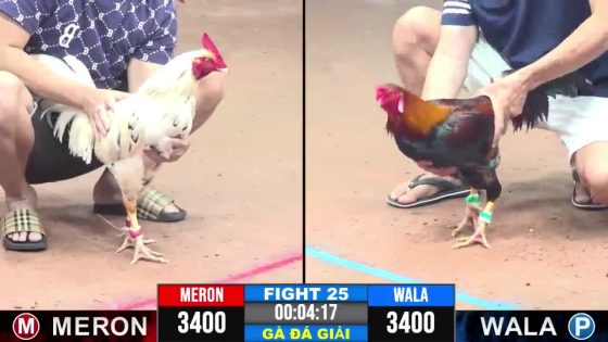 TRẬN 25 CPC3 6/7/2025 : ANH KHANH CR7 vs ANH HAI THÀNH PHỐ.BƯỚM HIỆU BẢO LỘC ĐÂM CON ĐIỀU HO KHÔNG KỊP NUỐT