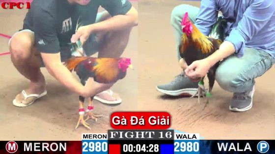 thumbnail 191
