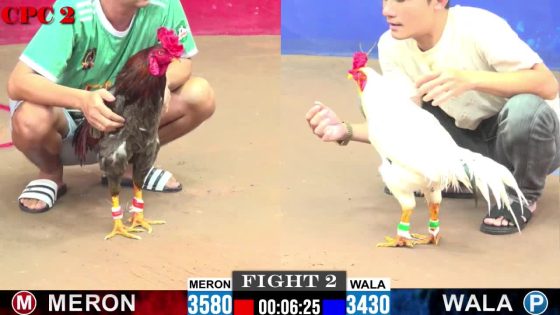 TRẬN 2 CPC2 11/7/2025 : ÔNG THẦY LONG AN vs ANH THUẬN.XÁM CHẦM CHẬM MÀ ĐÂM QUÁ CHÍNH XÁC , 1 LỚP HƯ TỲ LỤM LÚA