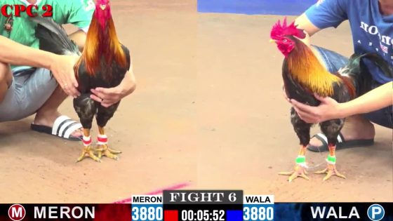 TRẬN 6 CPC2 11/7/2025 : ÔNG THẦY LONG AN vs ANH LÀNH.ĐỎ SONG PHI 1 CƯỚC VÔ ĐẦU XANH KHÔNG KỊP TRỞ TAY