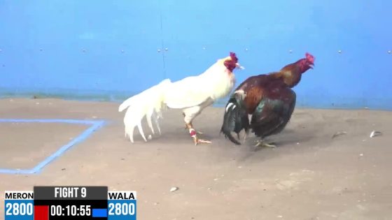 thumbnail 320