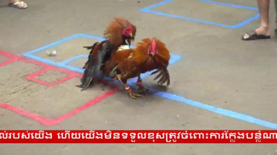 thumbnail 268