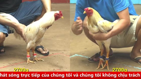 thumbnail 272
