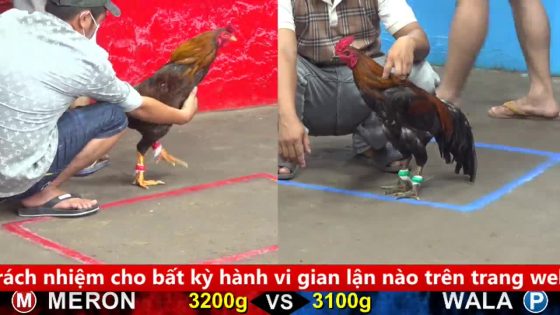 thumbnail 292