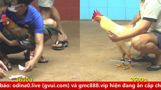 thumbnail 293