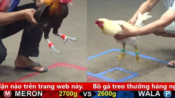 thumbnail 299